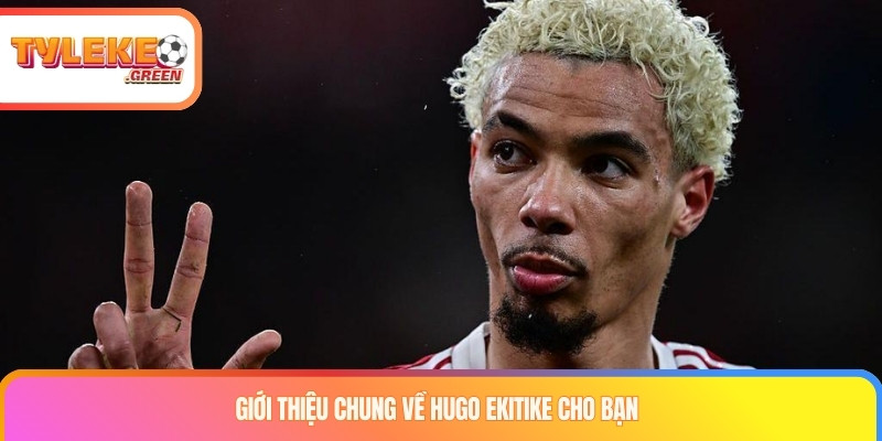 Hugo Ekitike Là Ai? Sự Nghiệp, Phong Cách Thi Đấu & Dấu Ấn Giới thiệu tiền đạo Hugo Ekitike