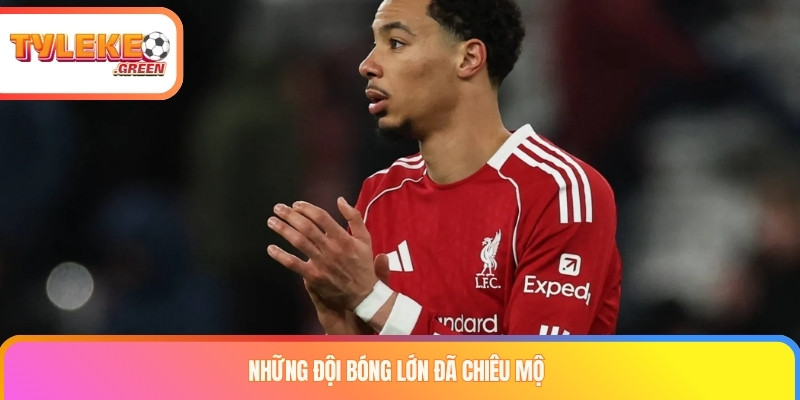 Hugo Ekitike Là Ai? Sự Nghiệp, Phong Cách Thi Đấu & Dấu Ấn Hugo Ekitike trong các chặng sự nghiệp tại Reims và PSG