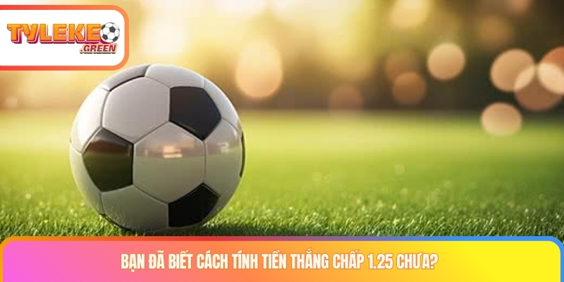 Chấp 1.25 Là Sao? Cách Đọc Kèo Chấp 1 1/4 Chi Tiết Cách tính tiền khi đọc kèo chấp 1.25