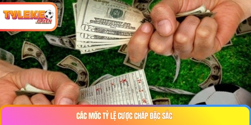 Kèo Châu Á Là Gì? Cách Đọc Handicap 0, 0.25, 0.5, 0.75 Các mức handicap phổ biến của kèo châu Á