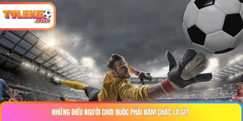 Kèo Thay Người Là Gì? Cách Tính & Quy Tắc Substitution Betting Cách đọc dữ liệu khi tìm hiểu kèo thay người