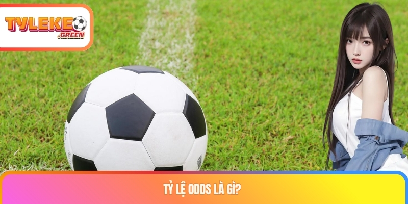 Tỷ Lệ Odds Là Gì? Cách Đọc, Quy Đổi Và Tính Xác Suất Giải thích tỷ lệ Odds là gì