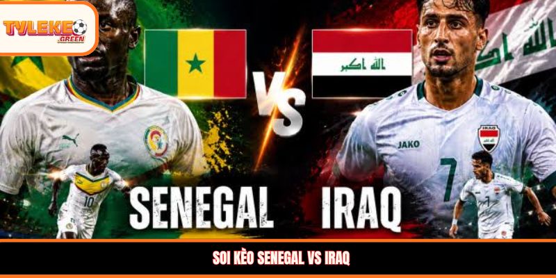 Senegal vs Iraq - Soi Kèo Nhận Định Bảng I World Cup 2026 Nhận định kèo Senegal vs Iraq