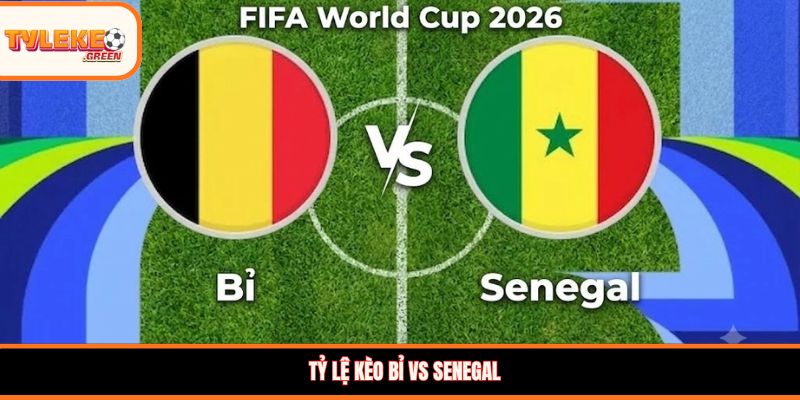 Bỉ vs Senegal - Soi Kèo Ngày 02/07 Nhận Định Vòng 1/8 Nhận định kèo Bỉ vs Senegal