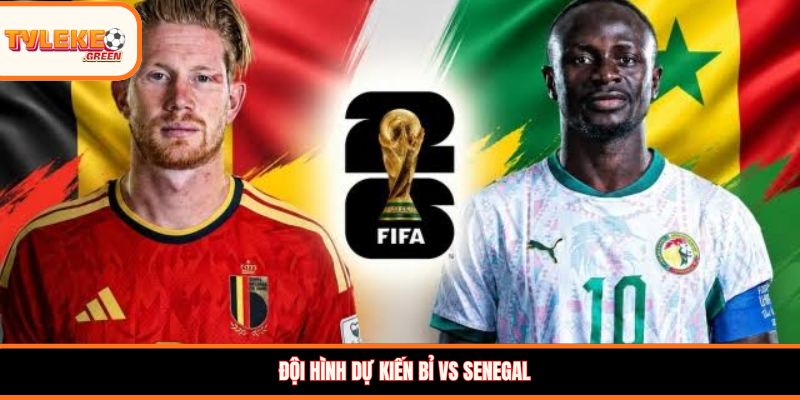 Bỉ vs Senegal - Soi Kèo Ngày 02/07 Nhận Định Vòng 1/8 Đội hình dự kiến Bỉ vs Senegal